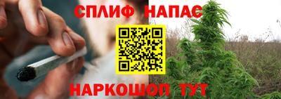 тгк Тара