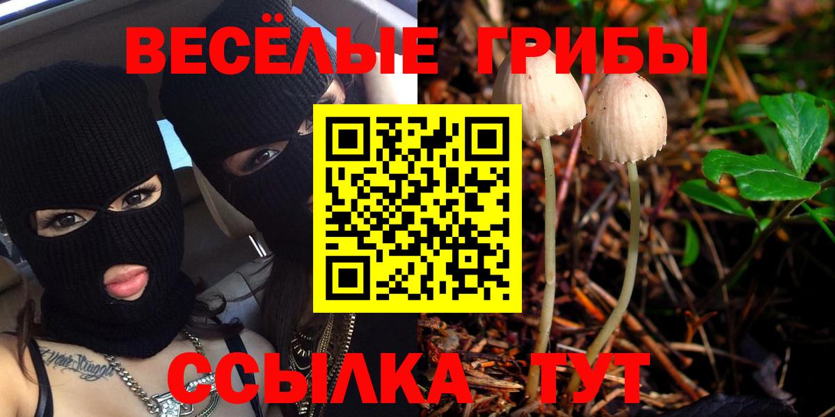 Галлюциногенные грибы MAGIC MUSHROOMS Новоуральск